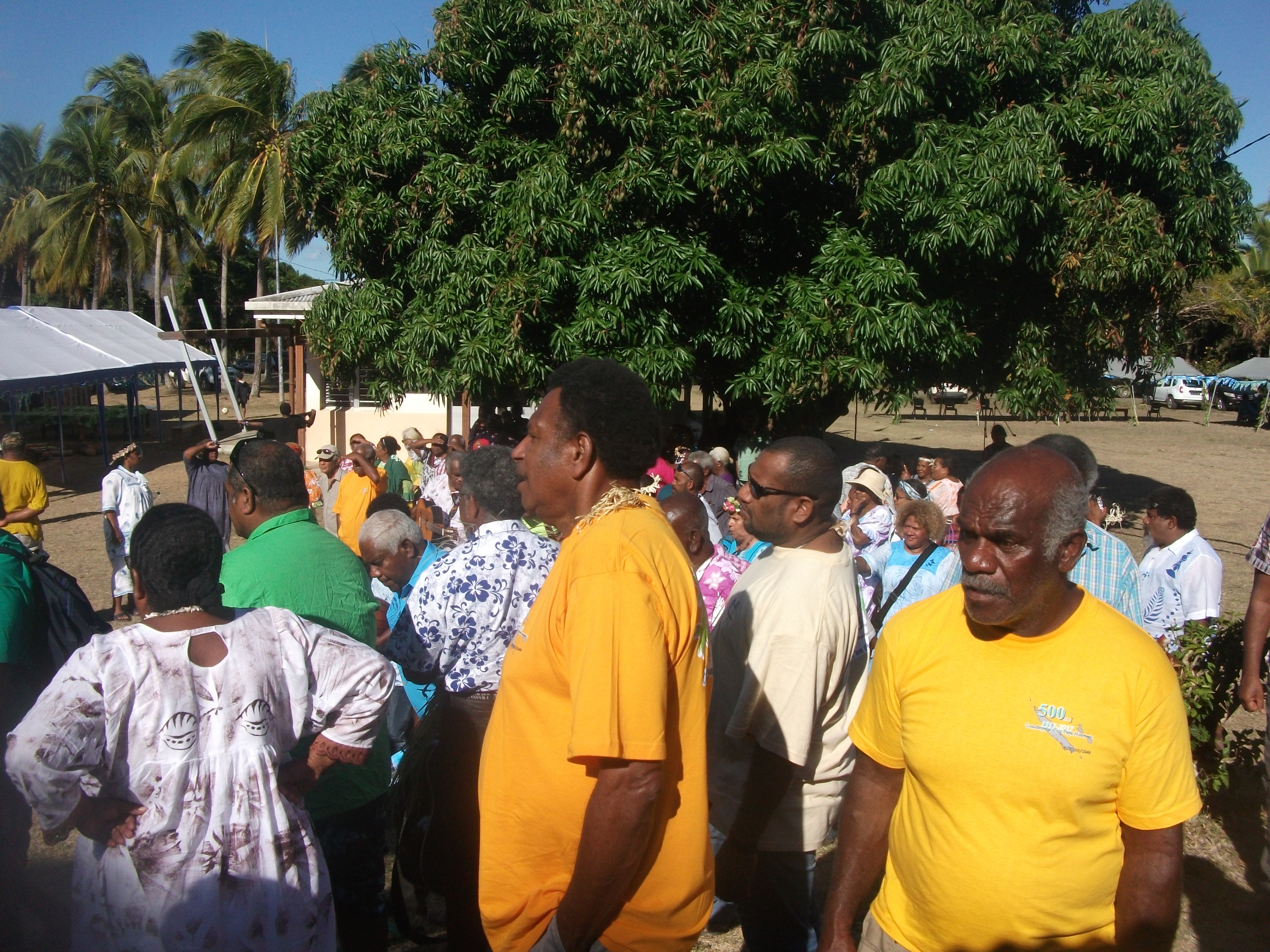 Rassemblement autour des sapins qui ont été plantés par les chefs des Eglises Rassemblement autour des sapins qui ont été plantés par les chefs des Eglises