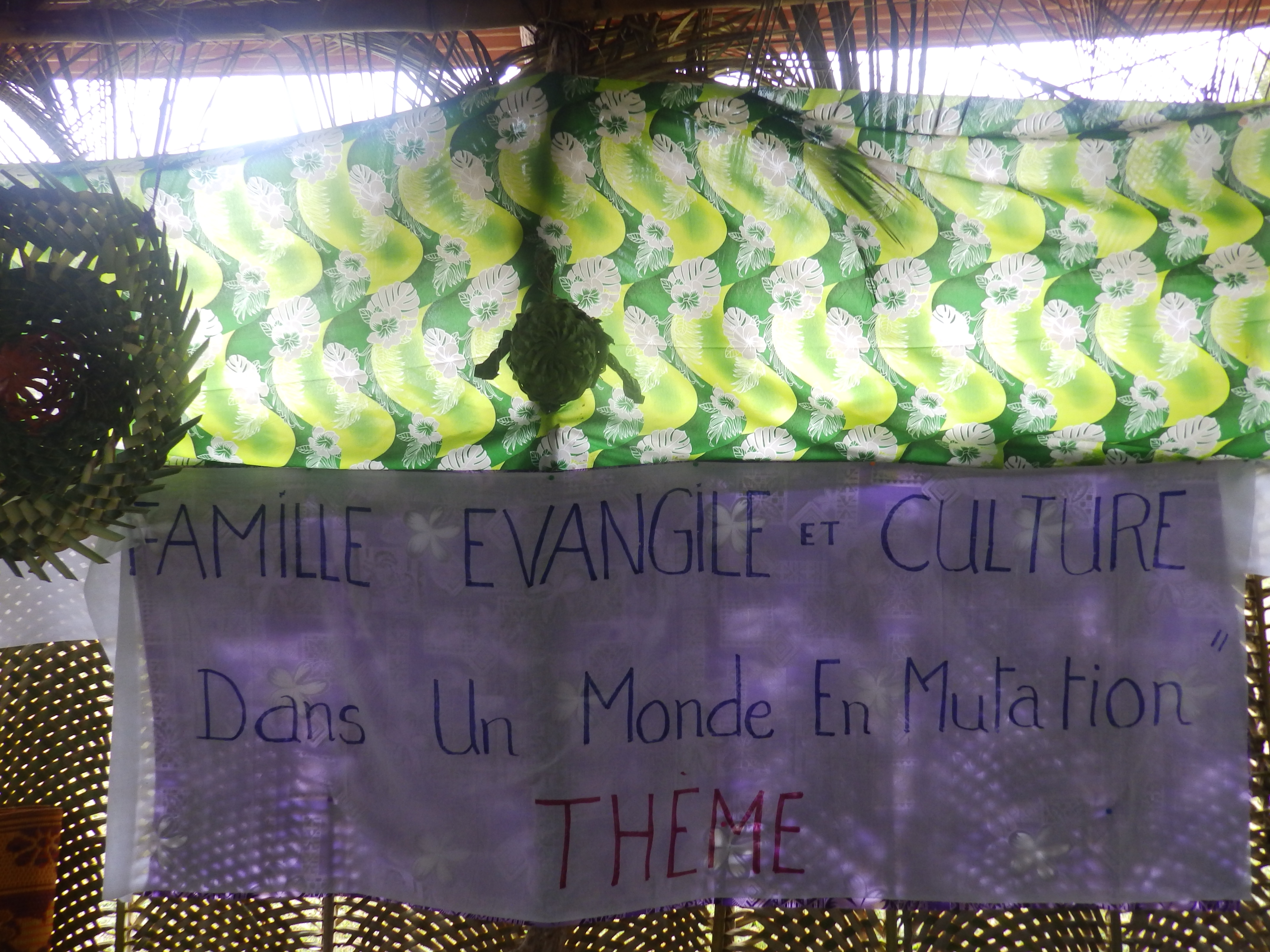 Thème de l'AG : "Familles, Evangile et Cultures dans un monde en mutation" Thème de l'AG : "Familles, Evangile et Cultures dans un monde en mutation"