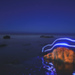 Capped